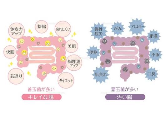 エビデンスで証明された美肌・エイジングケアに有効なサプリメントのアイキャッチ画像