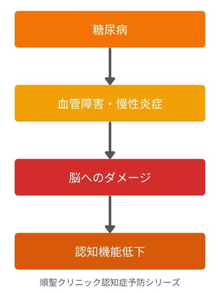 糖尿病が血管障害や慢性炎症を通じて認知機能低下につながる流れを示した図