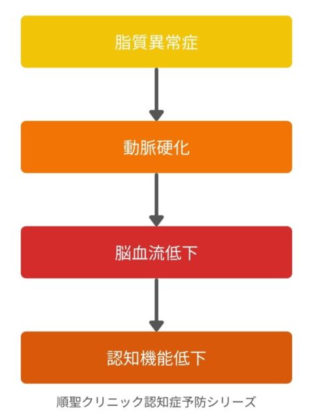 脂質異常症が動脈硬化や脳血流低下を通じて認知機能低下につながる流れを示した図