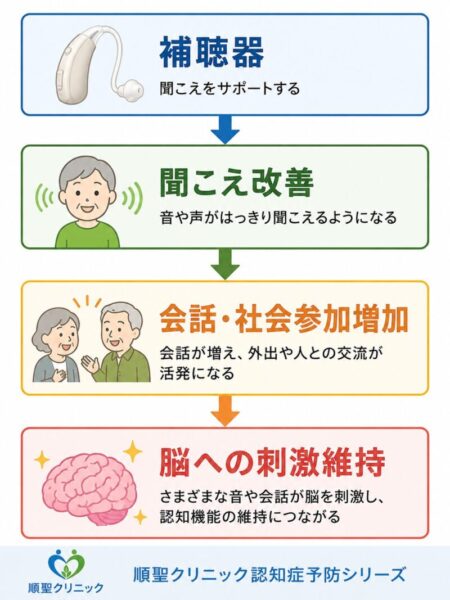 補聴器によって聞こえが改善し、会話や社会参加が増えて脳への刺激維持につながる流れを示した図