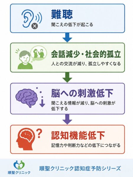 難聴が社会的孤立や脳への刺激低下を通じて認知機能低下につながる流れを示した図