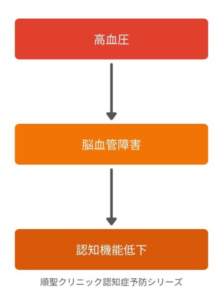高血圧が脳血管障害を引き起こし認知機能低下につながる流れを示した図