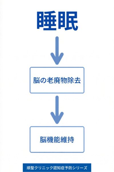 睡眠中の脳内老廃物除去と脳機能維持の関係を示した図