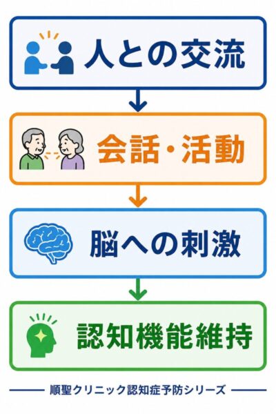 人との交流や社会参加が脳への刺激となり認知機能維持につながる流れを示した図