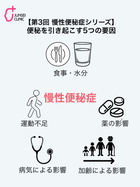 慢性便秘症を引き起こす5つの要因（食事・水分、運動不足、薬の影響、病気による影響、加齢）を示した図