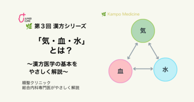 🌿 第3回　漢方シリーズのアイキャッチ画像