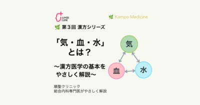 🌿 第3回　漢方シリーズのアイキャッチ画像